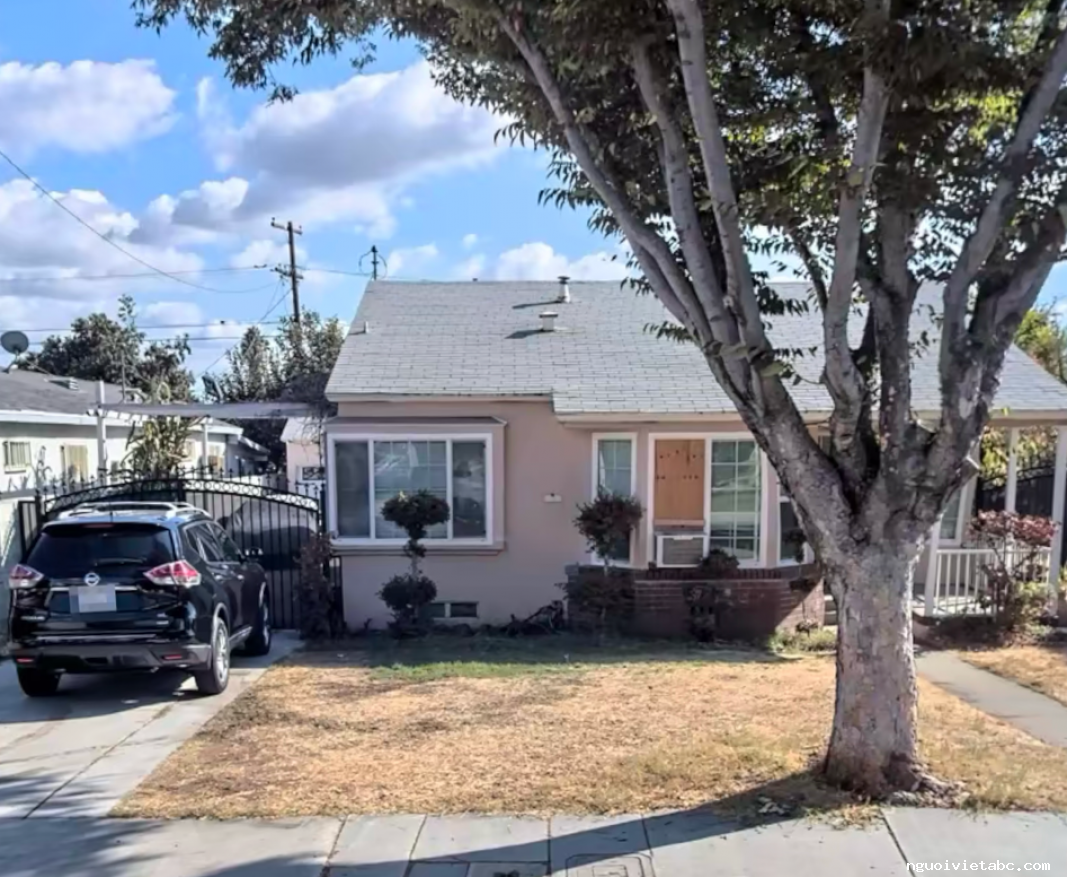 Houses for rent
