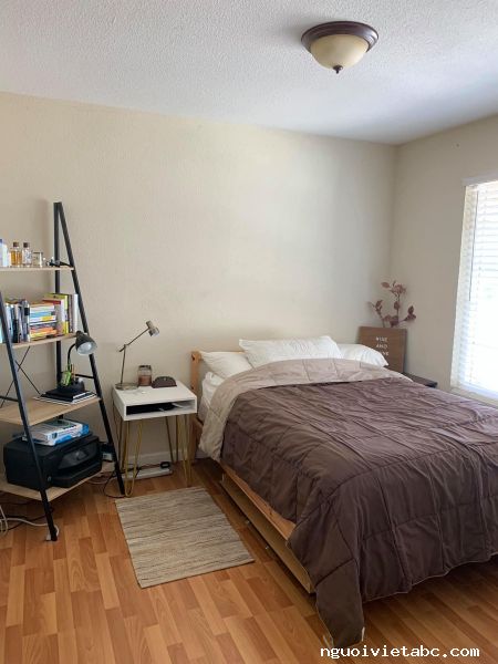 Rooms for rent