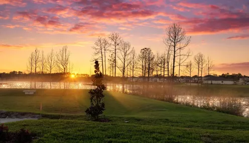 Cần Người Giúp Việc Ở Lại Nhà Tại Lake Mary, FL