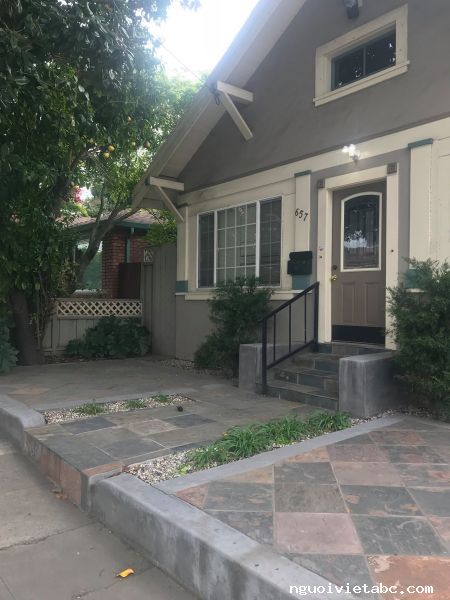 Houses for rent
