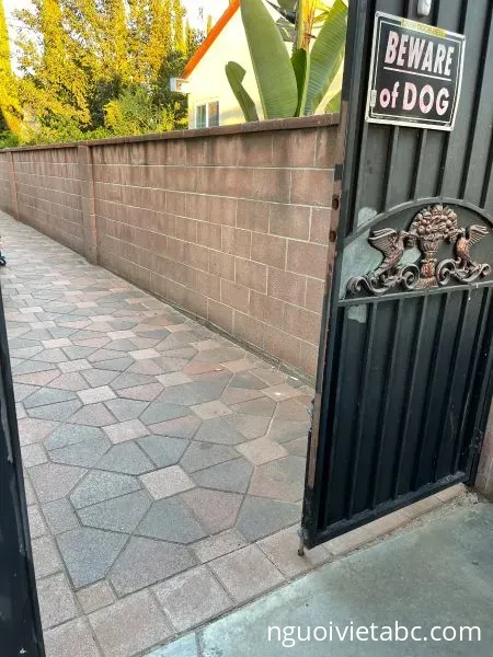 Houses for rent