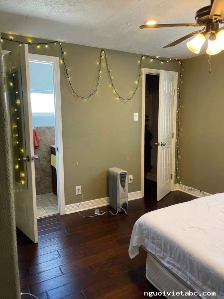 Rooms for rent